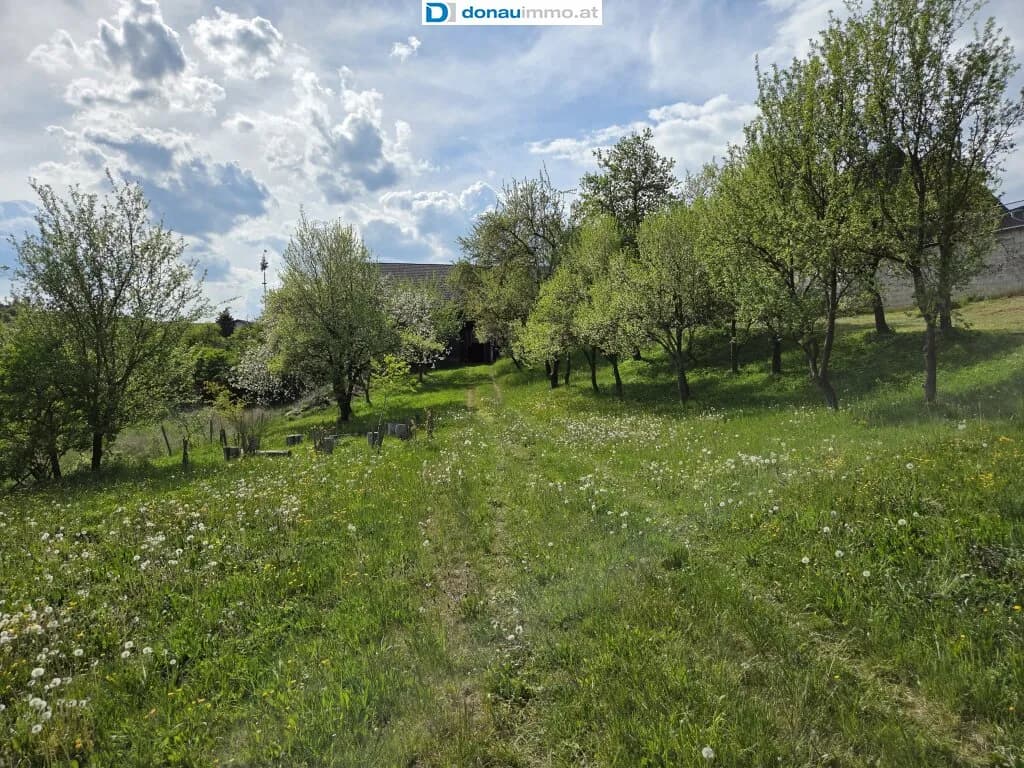 5-Zimmer-Haus kaufen in Zwettl – 160 m², € 279.000 – Bild 41 von 46