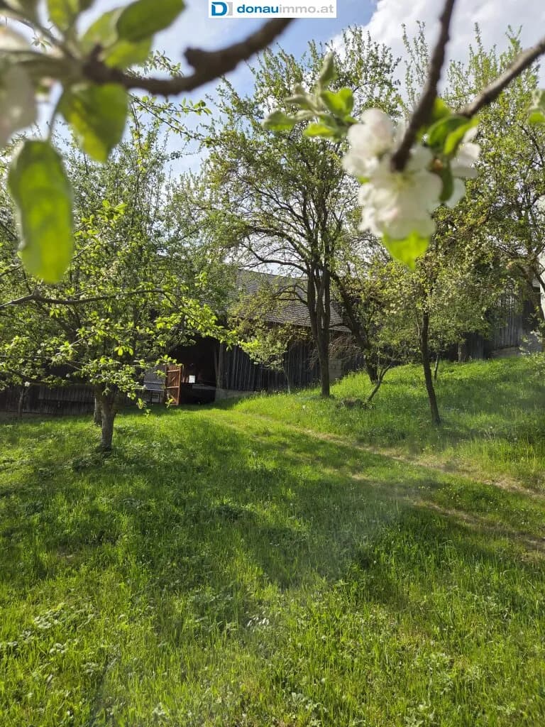 5-Zimmer-Haus kaufen in Zwettl – 160 m², € 279.000 – Bild 44 von 46