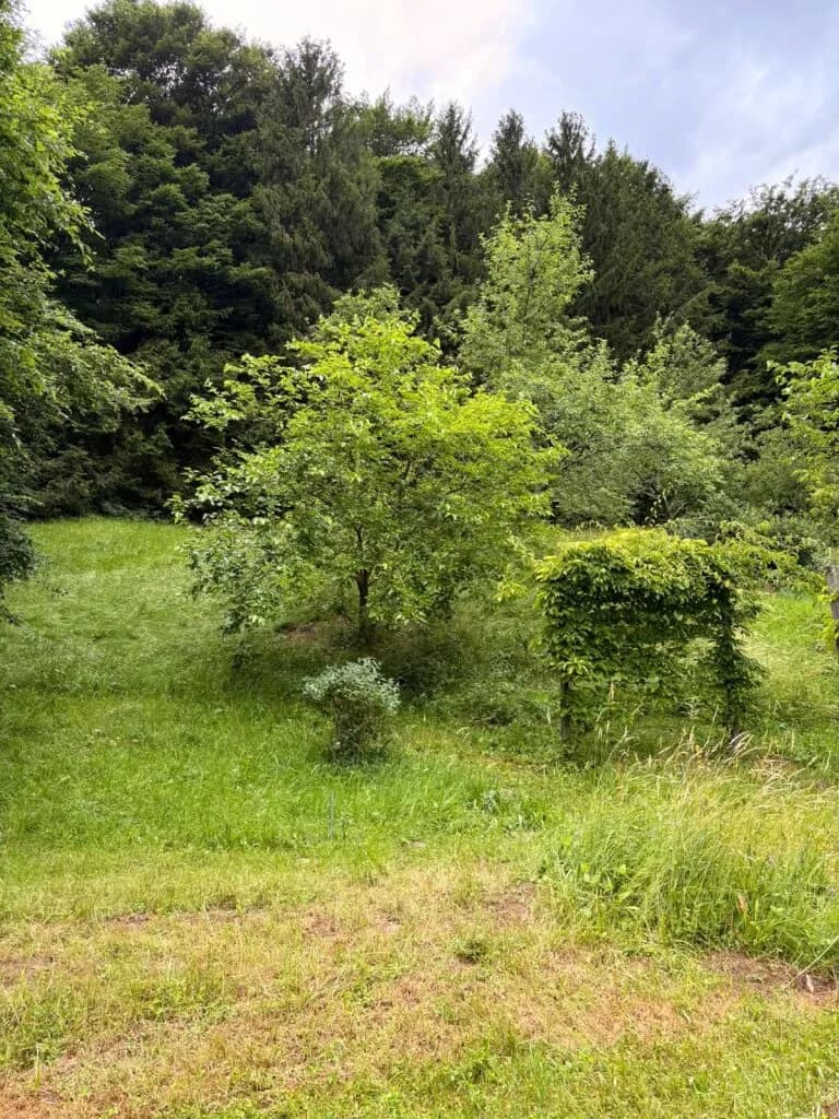 2-Zimmer-Immobilie kaufen in Güssing – 88 m², € 309.000 – Bild 15 von 45