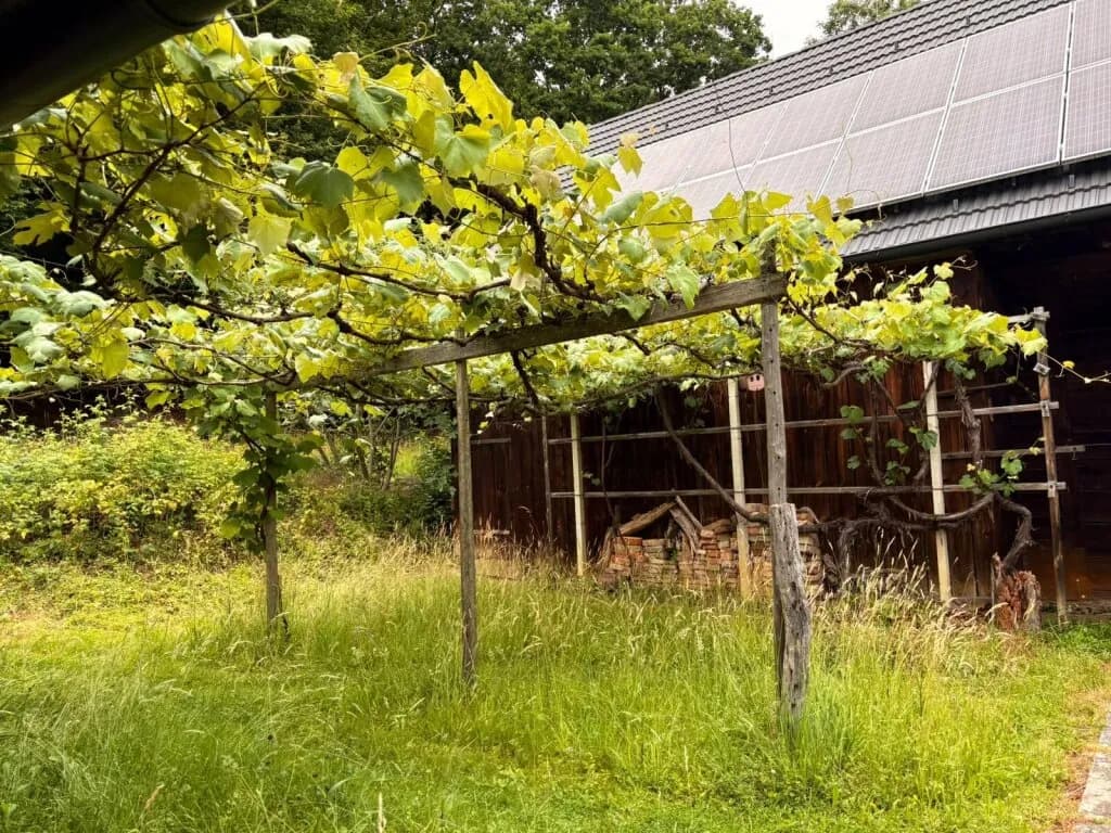 2-Zimmer-Immobilie kaufen in Güssing – 88 m², € 309.000 – Bild 17 von 45