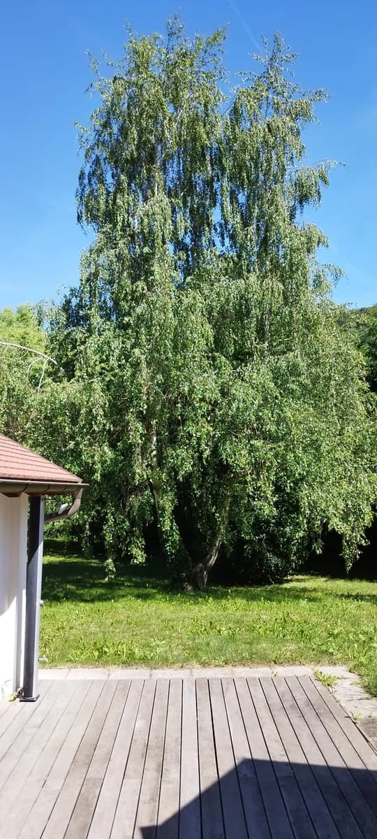 Haus kaufen in Krems Land – 145 m², € 209.000 – Bild 10 von 41