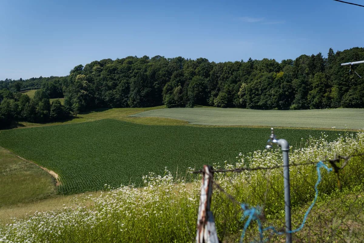 Haus kaufen in Leibnitz – 150 m², € 370.000 – Bild 10 von 33