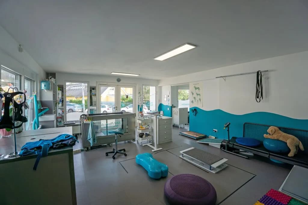 8-Zimmer-Immobilie kaufen in Wien – 254 m², € 1.560.000 – Bild 17 von 21