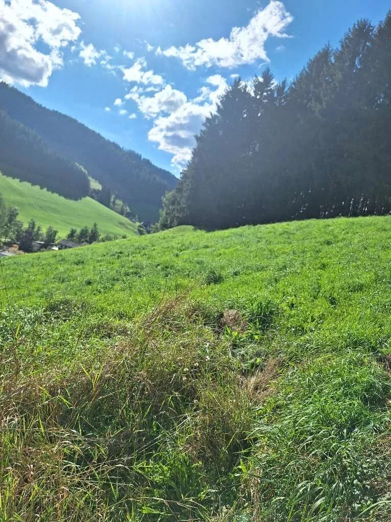 Grundstück kaufen in Murtal – 1 138 m², € 79 – Bild 4 von 15