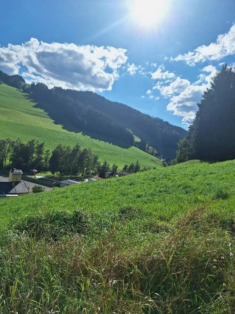Grundstück kaufen in Murtal – 1 138 m², € 79 – Bild 5 von 15