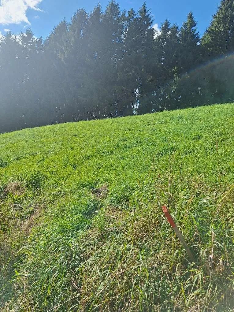 Grundstück kaufen in Murtal – 1 138 m², € 79 – Bild 6 von 15