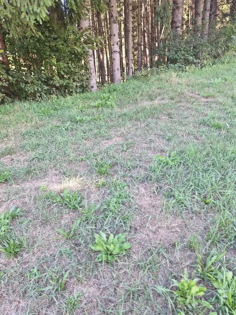 Grundstück kaufen in Murtal – 1 138 m², € 79 – Bild 7 von 15