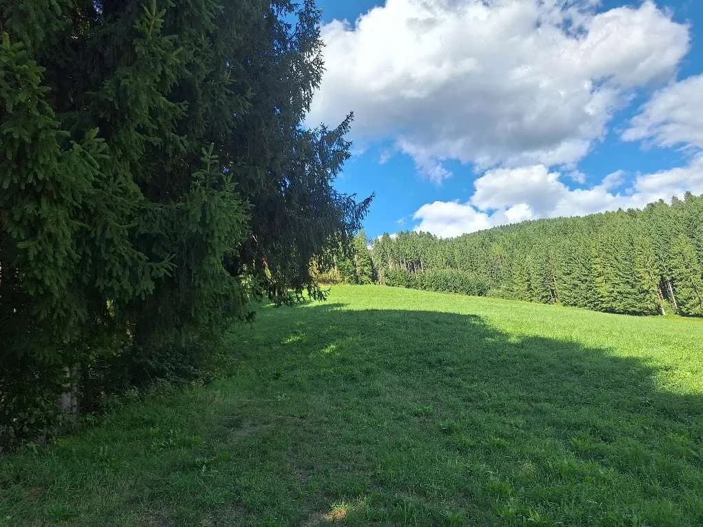 Grundstück kaufen in Murtal – 1 138 m², € 79 – Bild 8 von 15