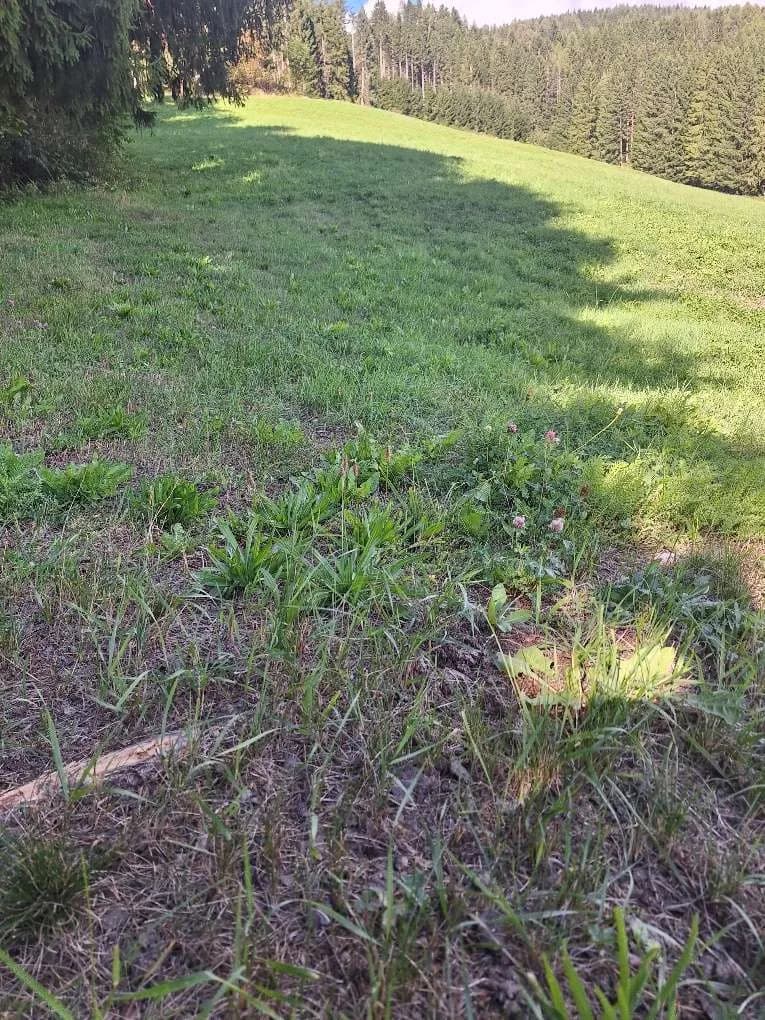 Grundstück kaufen in Murtal – 1 138 m², € 79 – Bild 12 von 15