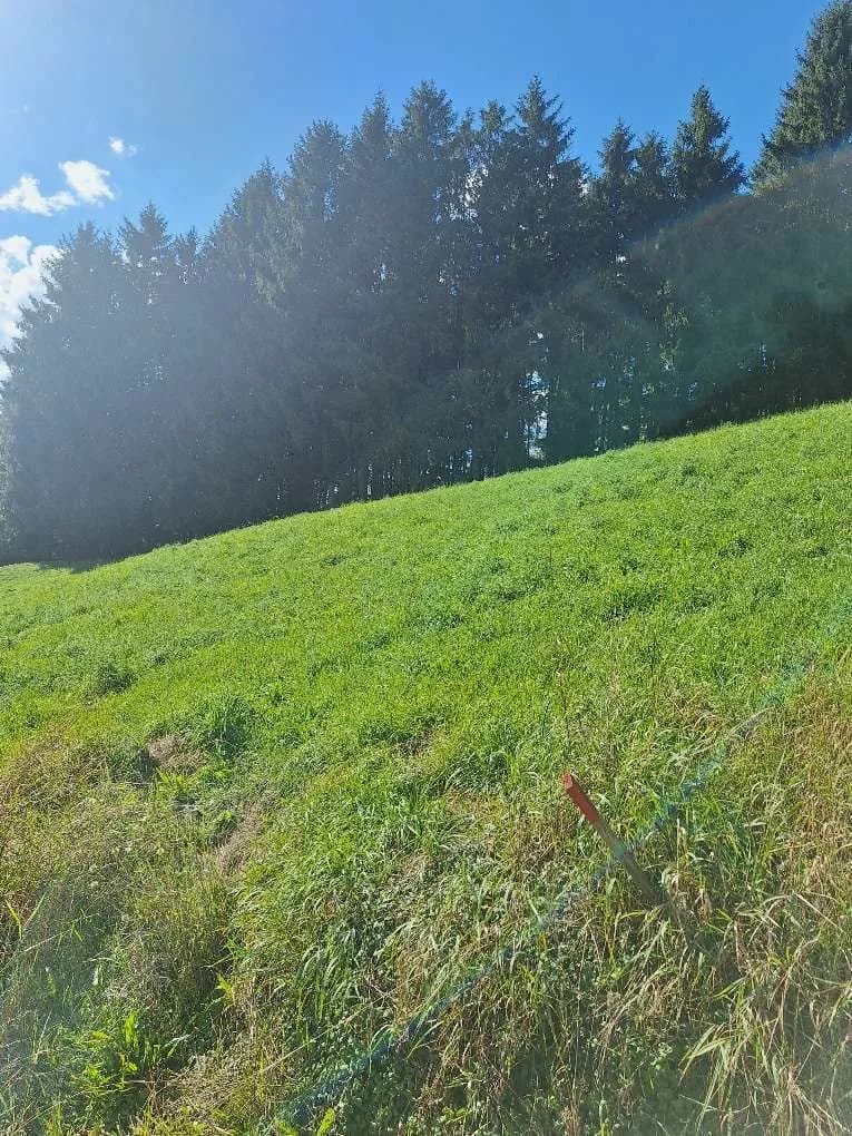 Grundstück kaufen in Murtal – 1 138 m², € 79 – Bild 14 von 15