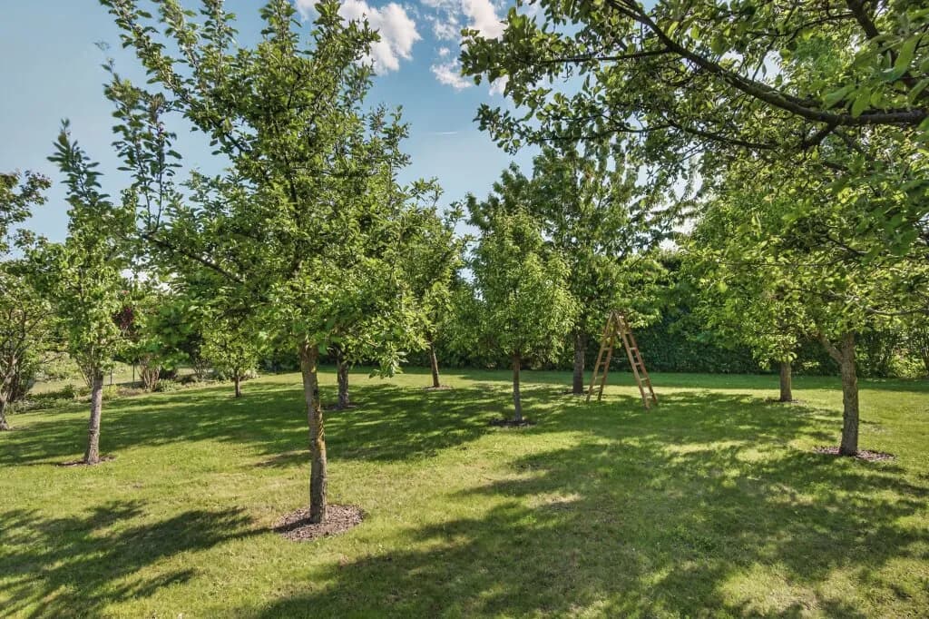 6-Zimmer-Haus kaufen in Mistelbach – 366 m², € 1.999.000 – Bild 32 von 33
