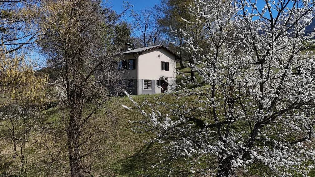 Grundstück kaufen in Villach Land – 7 082 m², € 400.000 – Bild 5 von 14