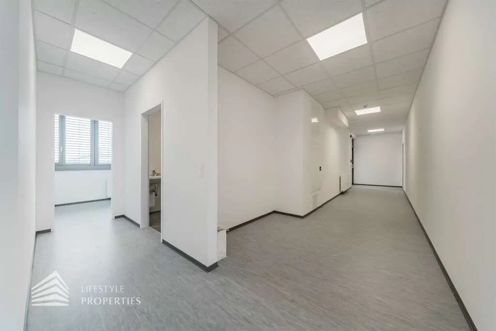 6-Zimmer-Gewerbeimmobilie mieten in Wien – 244 m², € 4.937 – Bild 2 von 14