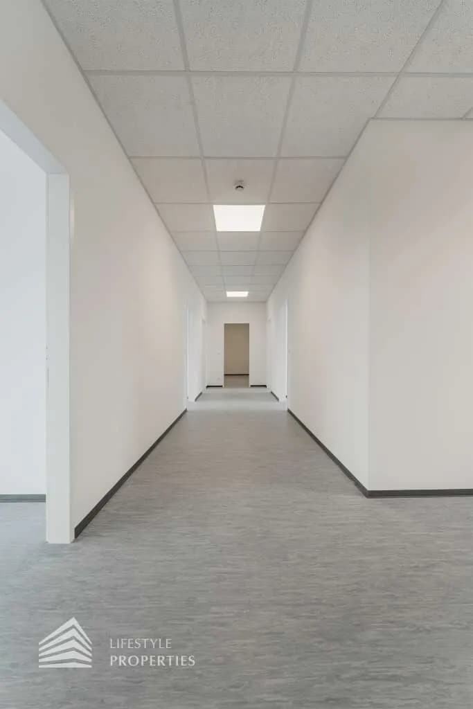6-Zimmer-Gewerbeimmobilie mieten in Wien – 244 m², € 4.937 – Bild 3 von 14