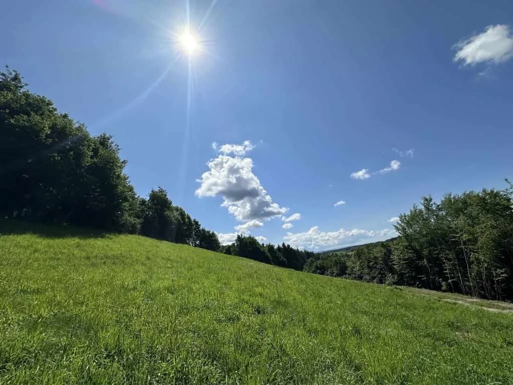 Gewerbeimmobilie kaufen in Deutschlandsberg – 1 637 m², € 199.000 – Bild 5 von 11