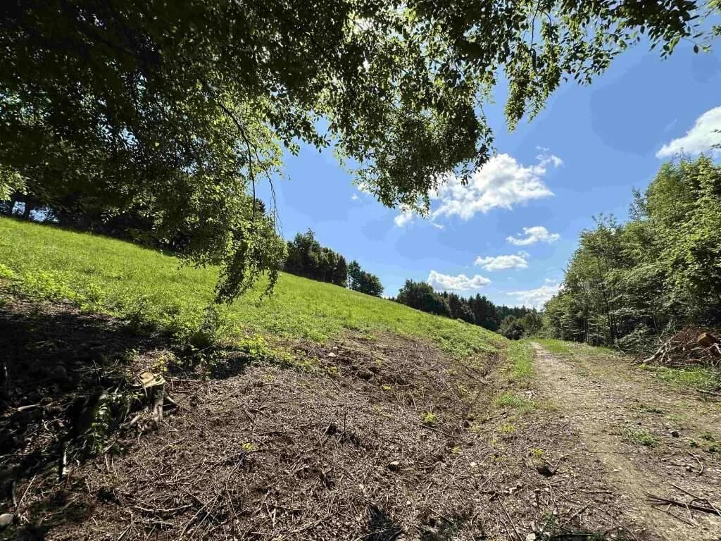 Gewerbeimmobilie kaufen in Deutschlandsberg – 1 637 m², € 199.000 – Bild 9 von 11