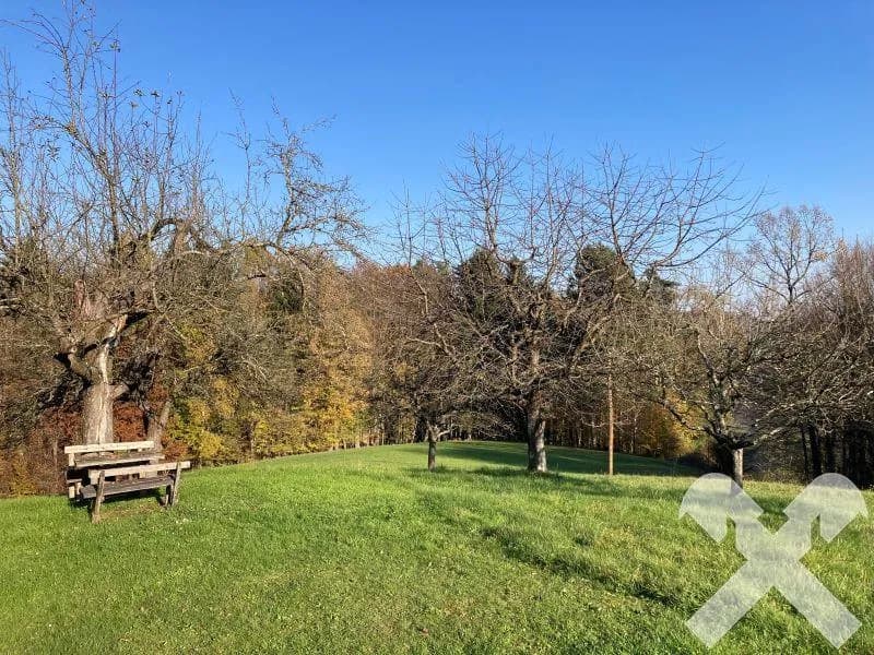 3-Zimmer-Immobilie kaufen in Südoststeiermark – 80 m², € 350.000 – Bild 12 von 12