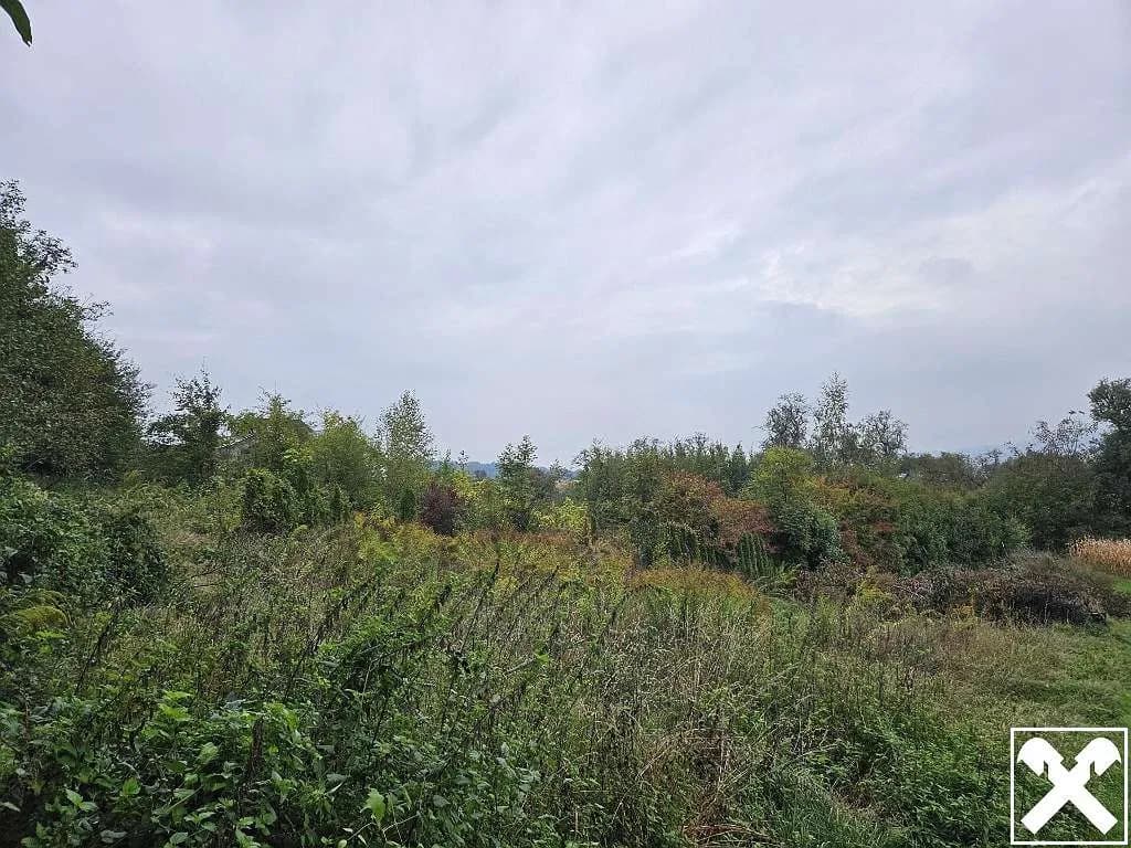 Grundstück kaufen in Linz Land – 2 728 m²