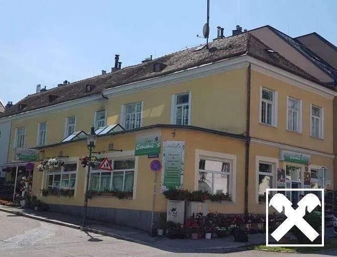 7-Zimmer-Gewerbeimmobilie kaufen in Mödling – 318,67 m², € 498.000
