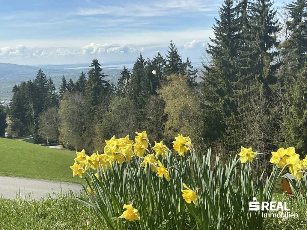 Grundstück kaufen in Bregenz – 1 236 m², € 590.000 – Bild 4 von 19
