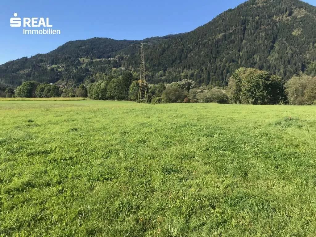 Grundstück kaufen in Murau – 11 786 m², € 942.880