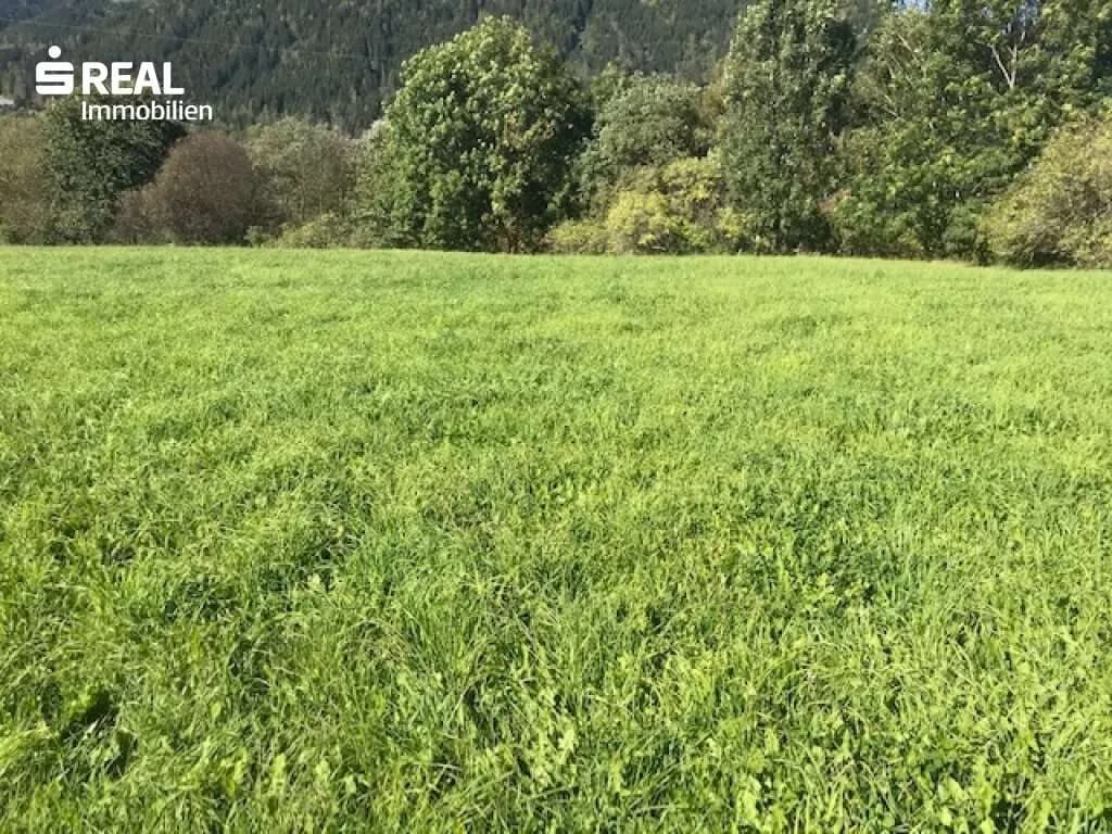 Grundstück kaufen in Murau – 11 786 m², € 942.880 – Bild 4 von 6