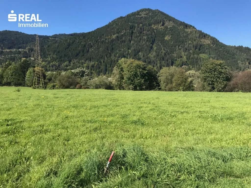 Grundstück kaufen in Murau – 11 786 m², € 942.880 – Bild 6 von 6