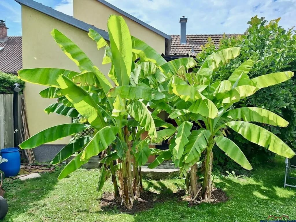 3-Zimmer-Haus kaufen in Gänserndorf – 120 m², € 379.000 – Bild 23 von 33