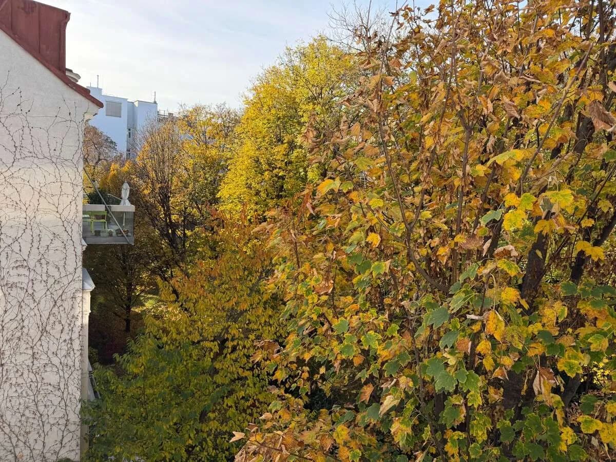 Gewerbeimmobilie mieten in Wien – 284 m², € 17 – Bild 6 von 12