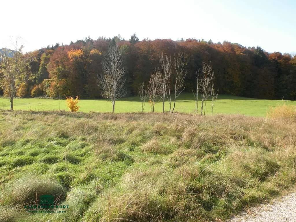 Grundstück kaufen in Salzburg-Umgebung – 600 m²