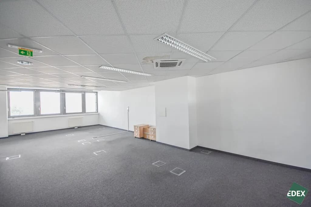 Gewerbeimmobilie mieten in Wien – 146 m², € 2.179 – Bild 4 von 5