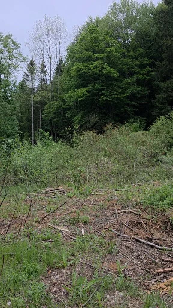 Grundstück kaufen in Oberpullendorf – 4 991 m², € 149.000 – Bild 2 von 4
