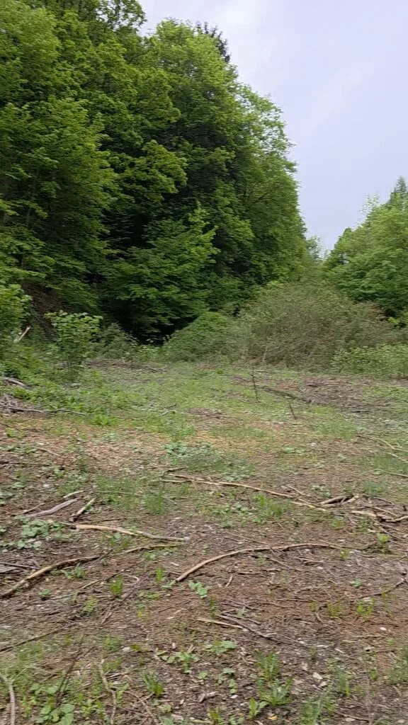 Grundstück kaufen in Oberpullendorf – 4 991 m², € 149.000 – Bild 4 von 4
