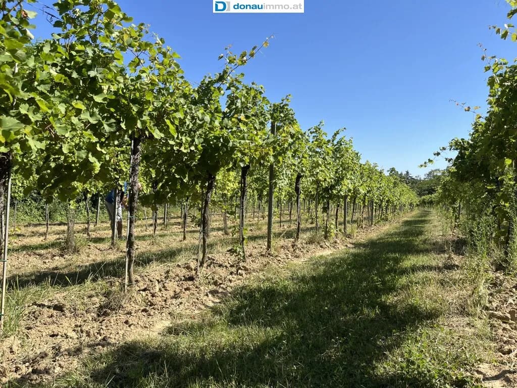 Immobilie kaufen in Krems Land – € 250.000 – Bild 2 von 5