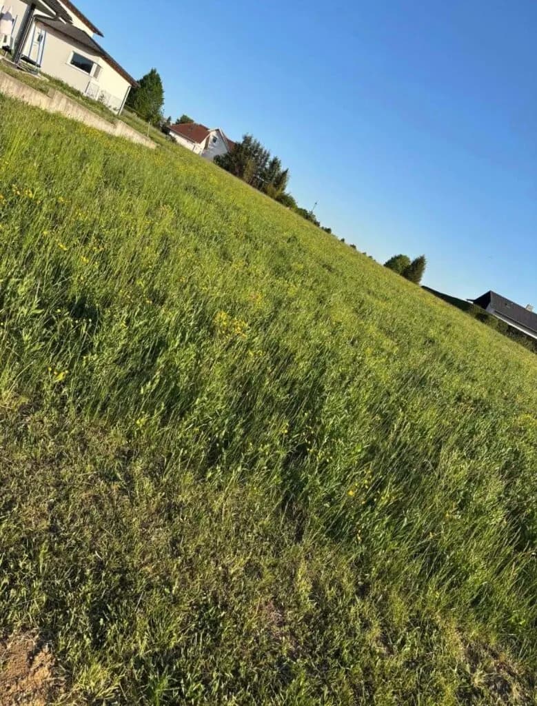 Immobilie kaufen in Oberwart – € 110.000 – Bild 2 von 2