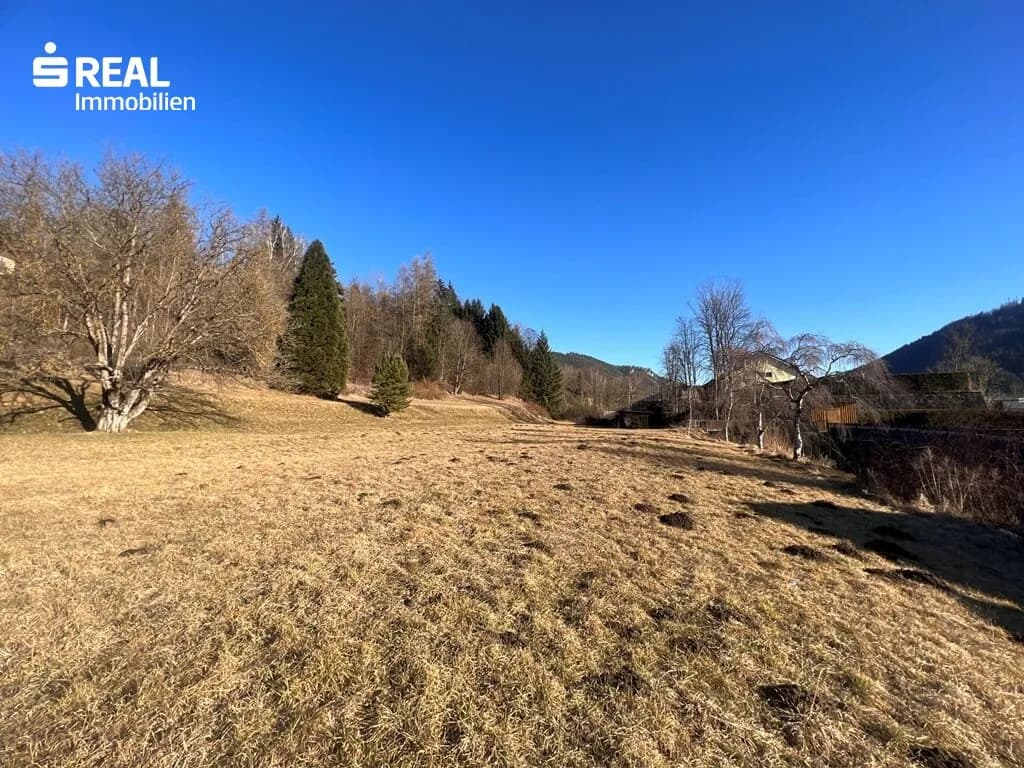 Grundstück kaufen in Leoben – 6 755 m², € 449.000 – Bild 11 von 26