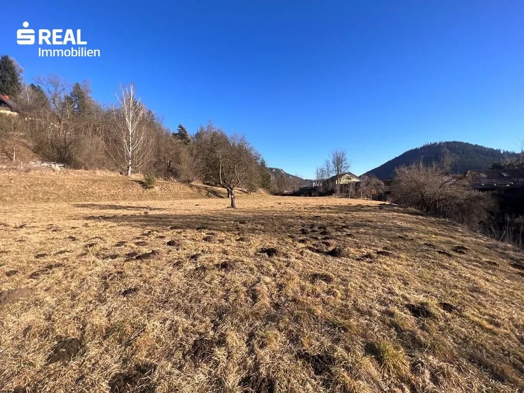 Grundstück kaufen in Leoben – 6 755 m², € 449.000 – Bild 12 von 26
