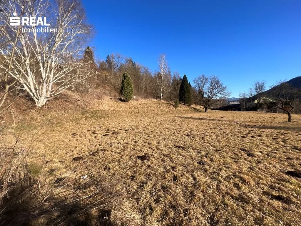 Grundstück kaufen in Leoben – 6 755 m², € 449.000 – Bild 13 von 26