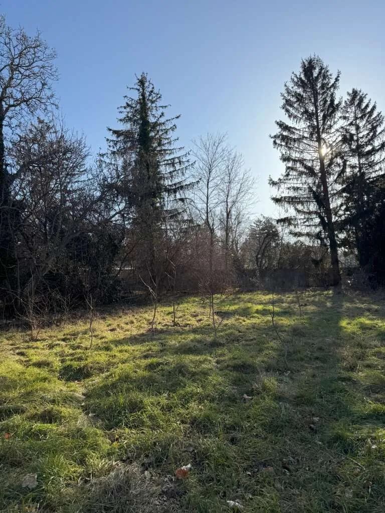 Immobilie kaufen in Mödling – 6 318 m², € 7.800.000 – Bild 12 von 14