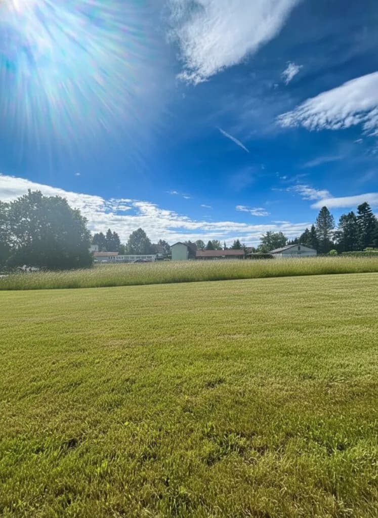 Immobilie kaufen in Leibnitz – 1 339 m², € 188.000 – Bild 2 von 7