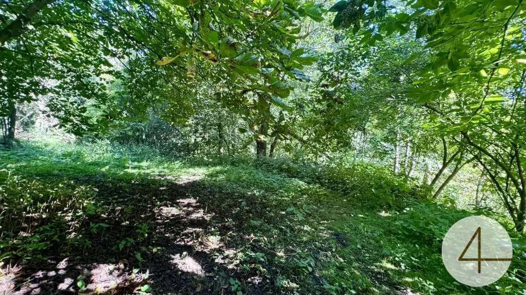 Haus kaufen in Horn – 6 093 m², € 349.000 – Bild 5 von 10