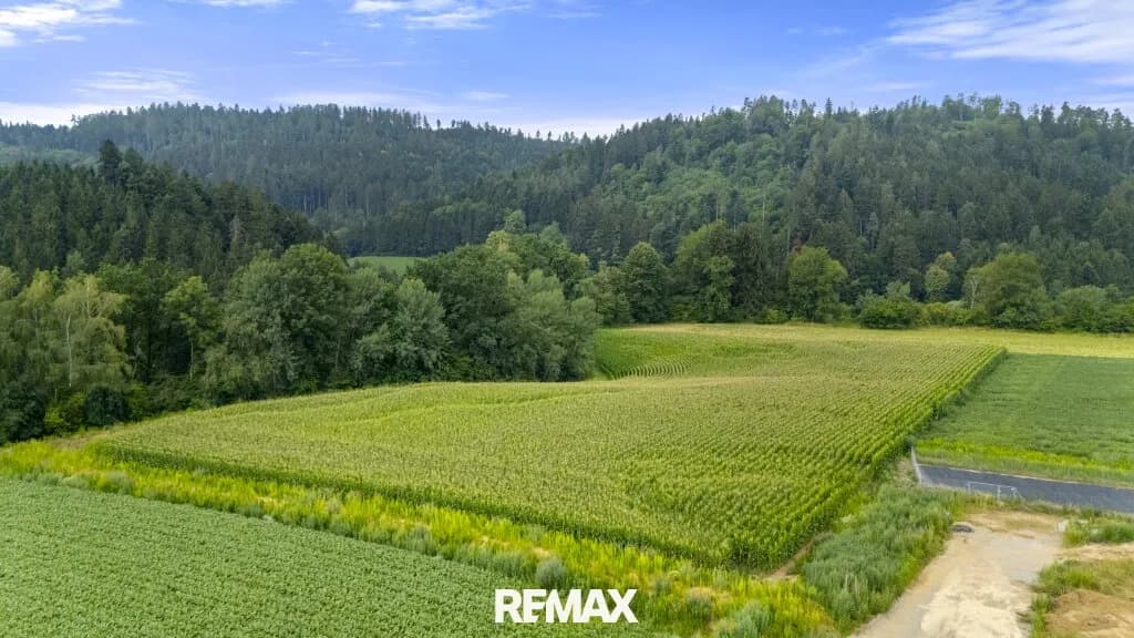 Grundstück kaufen in Wolfsberg – 17 119 m², € 1.541.000 – Bild 3 von 4