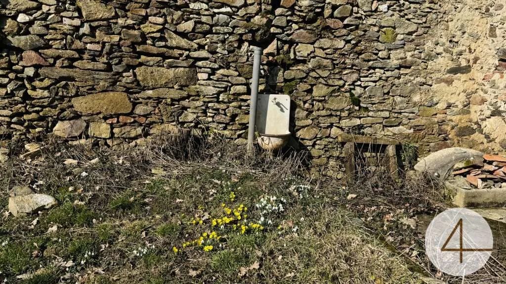 Haus kaufen in Horn – 3 338 m², € 199.000 – Bild 2 von 8