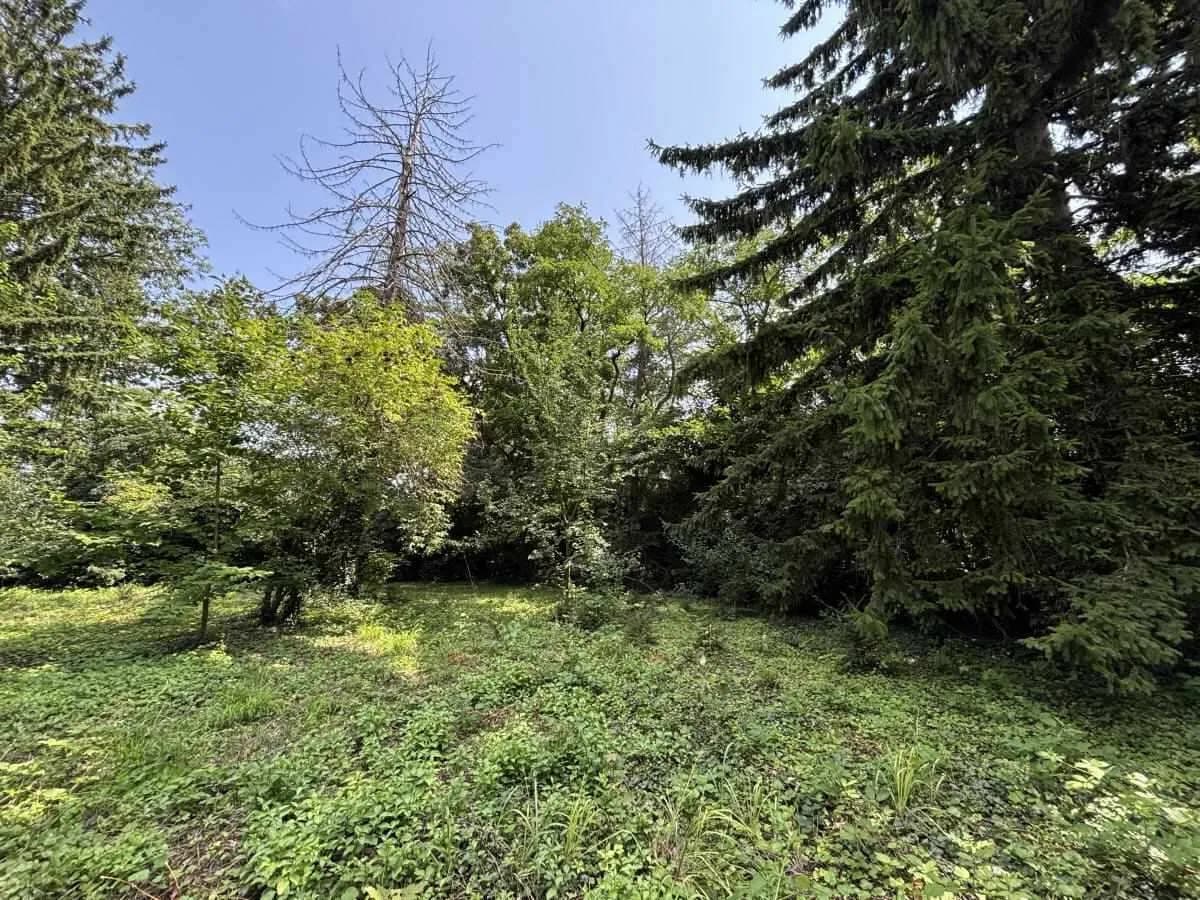 Grundstück kaufen in Wiener Neustadt Land – 1 827 m², € 499.000
