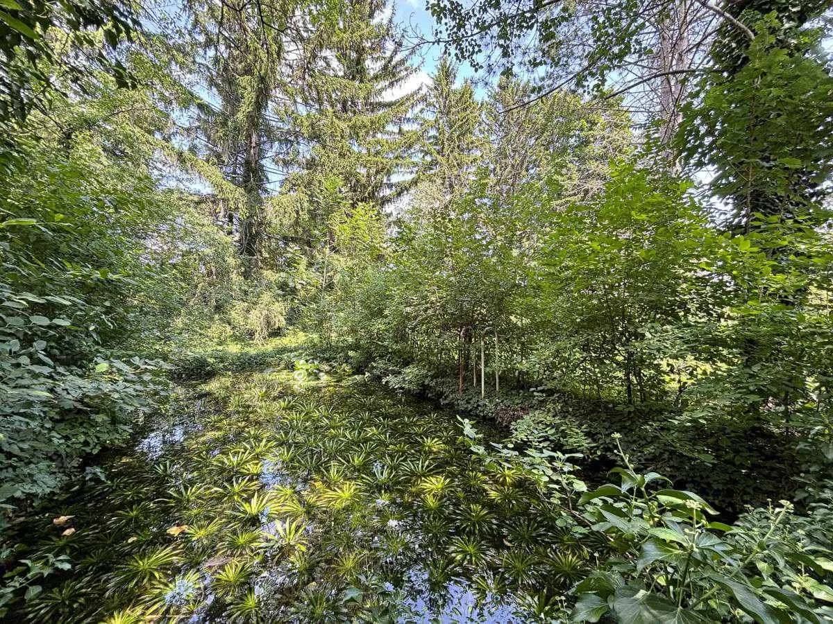 Grundstück kaufen in Wiener Neustadt Land – 1 827 m², € 499.000 – Bild 3 von 10