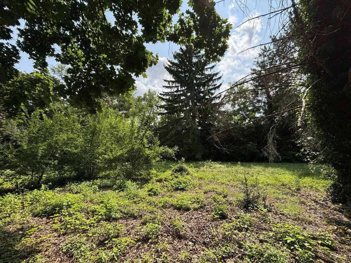 Grundstück kaufen in Wiener Neustadt Land – 1 827 m², € 499.000 – Bild 4 von 10