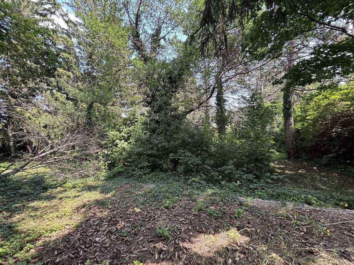 Grundstück kaufen in Wiener Neustadt Land – 1 827 m², € 499.000 – Bild 5 von 10