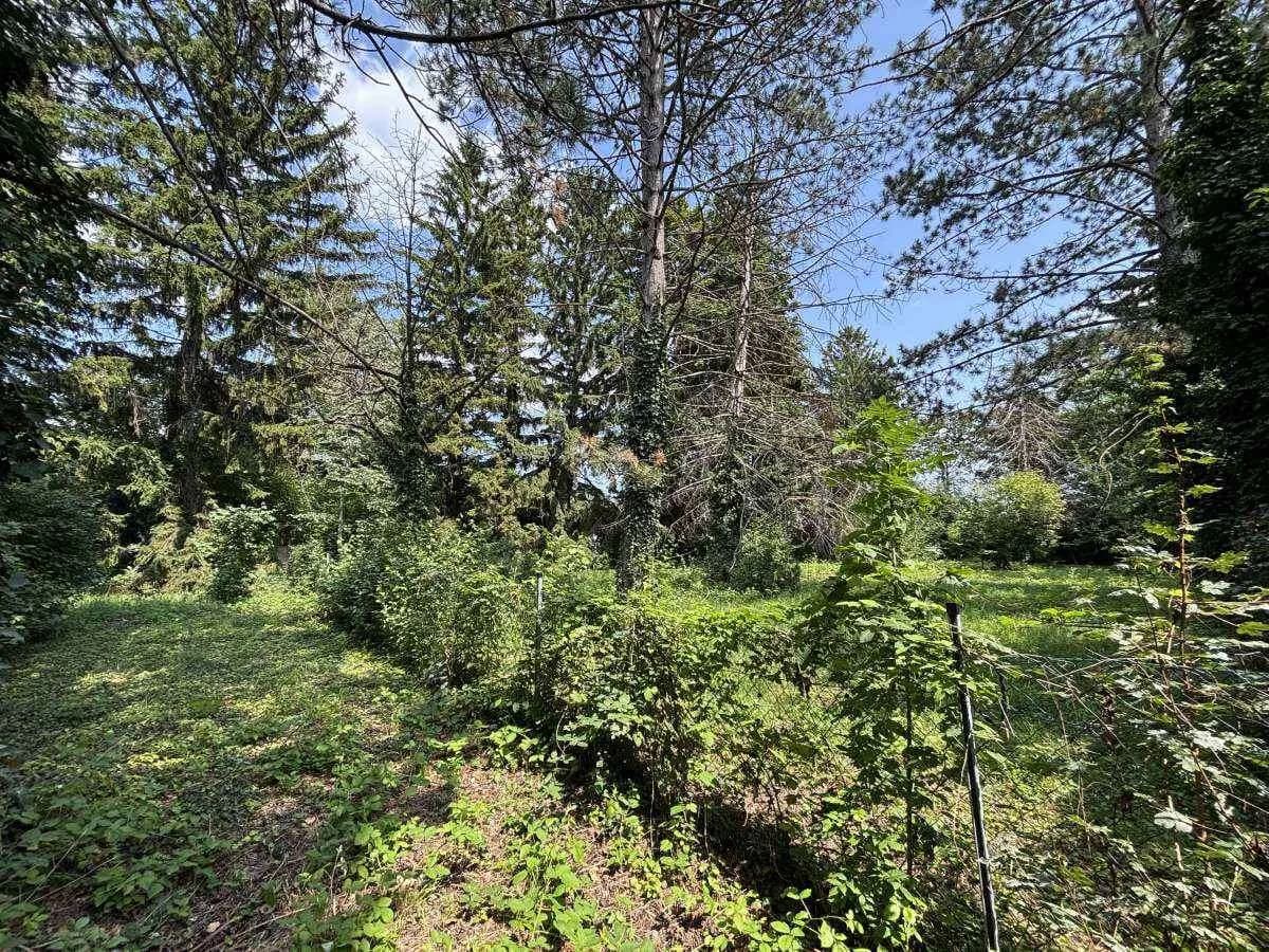 Grundstück kaufen in Wiener Neustadt Land – 1 827 m², € 499.000 – Bild 6 von 10
