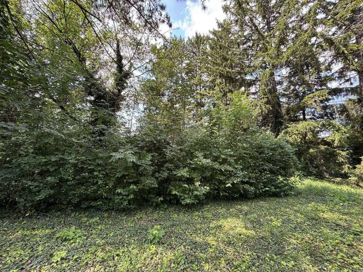 Grundstück kaufen in Wiener Neustadt Land – 1 827 m², € 499.000 – Bild 7 von 10