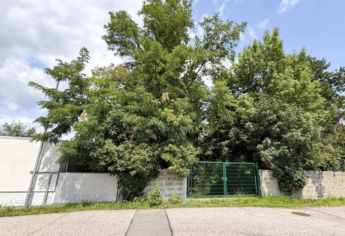 Grundstück kaufen in Wiener Neustadt Land – 1 827 m², € 499.000 – Bild 9 von 10